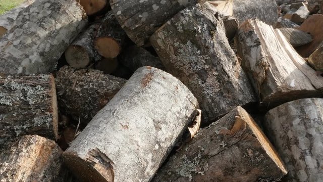 Pile of firewood made of tree logs close-up slow tilt 4K 2160p 30fps UltraHD footage - Tilting on stack of split firewood 3840X2160 UHD video 
