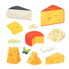 Cheese types . Modern flat style realistic vector illustration icons. Isolated parmesan or cheddar fresh on white background.