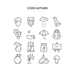 Big collection of linear icons with different autumn and fall symbols. Vector line icon series. Squirrel, umbrella, rain, mushroom,  and other seasonal elements.