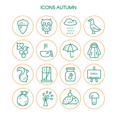 Big collection of linear icons with different autumn and fall symbols. Vector line icon series. Squirrel, umbrella, rain, mushroom,  and other seasonal elements.