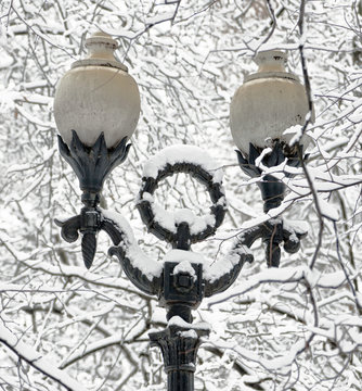 The snow-covered branch of a tree and lantern in winter park Izm
