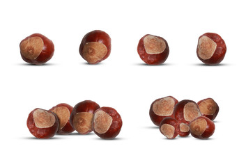 Hazelnut set on isolated background