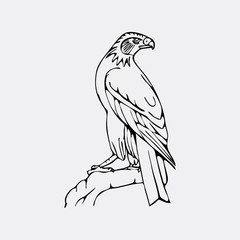 Hand-drawn pencil graphics, vulture, eagle, osprey, falcon, hawk, bird predator - 130836206