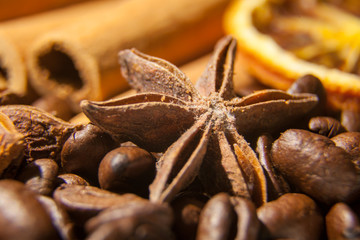 Anissterne mit Kaffeebohnen