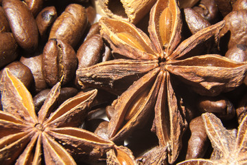 Anissterne mit Kaffeebohnen