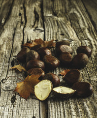 chestnut