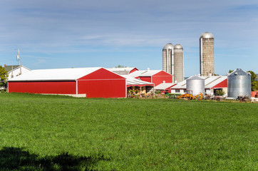 Farm with Red Barns and Silos with a Grassy Field in Foreground