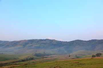 savanna forest in Thailand