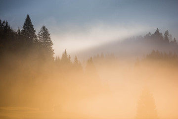 Misty morning landscape