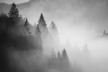 Rolgordijnen Black and white landscape © Daniel M