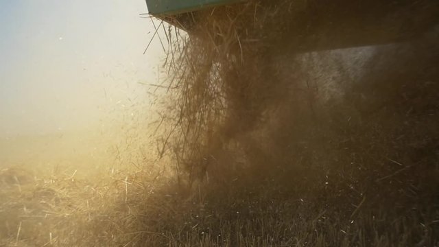 The season of harvest. Harvester in the wheat fields produce hay. Slow motion , close-up