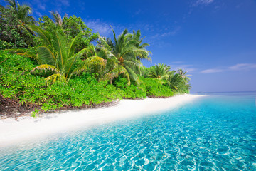 Tropical island with sandy beach, lagoon and palm trees