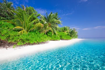 Crédence de cuisine en verre imprimé Plage tropicale Île tropicale avec plage de sable, lagon et palmiers