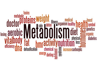 Metabolism, word cloud concept