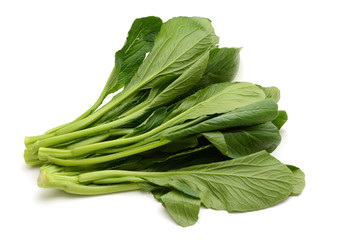 Fresh Green Vegetable Chinese Leaf Cabbage on White Background