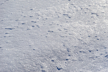 Texture of the white fluffy snow
