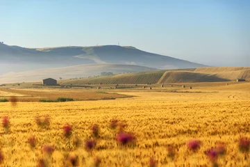 Papier Peint photo Orange Rural landscape spring. Between Apulia and Basilicata:wheat field at dawn.ITALY. Hilly country:in the background abandoned farmhouses and bales of hay.