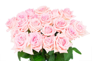 Pink blooming roses bouquet close up isolated on white background