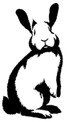 black and white linear paint draw rabbit illustration