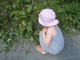Girl watching flowers - summer