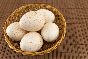 Fototapeta na wymiar Bunch of raw turkey eggs in a bowl