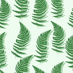 Feuilles de palmier tropical vert motif transparent.