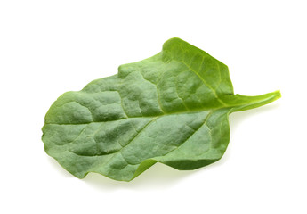 Green Spinach Leaf Isolated On White Background