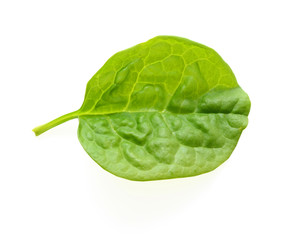 Green Spinach Leaf Isolated On White Background