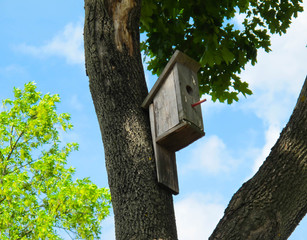  wooden birdhouse hanging from tree with foliage 