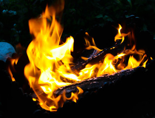 Wood burning in the brazier. Flames fire. Preparation for cooking barbecue.