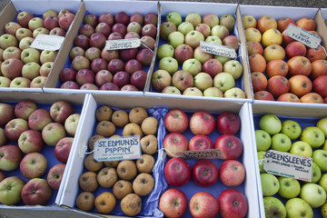 Harvested apple varieties on display