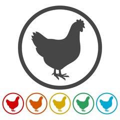 Fototapeta premium Chicken icons set 