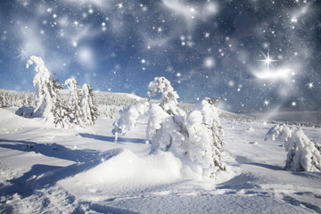 Christmas background with snowy fir trees