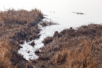 lake in nature in autumn