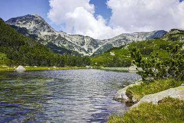 Naklejka na ściany i meble Landscape with Mountain River and Muratov peak, Pirin Mountain, Bulgaria