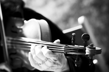 let the music play