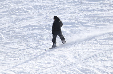 people snowboarding on the snow in the winter