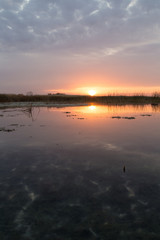 beautiful sunrise of the sun on the lake