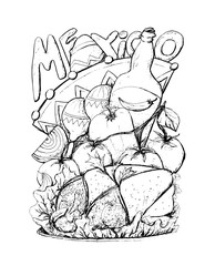 Mexico cuisine. Tasty food, graphic sketch, artistic illustration for coloring book page design