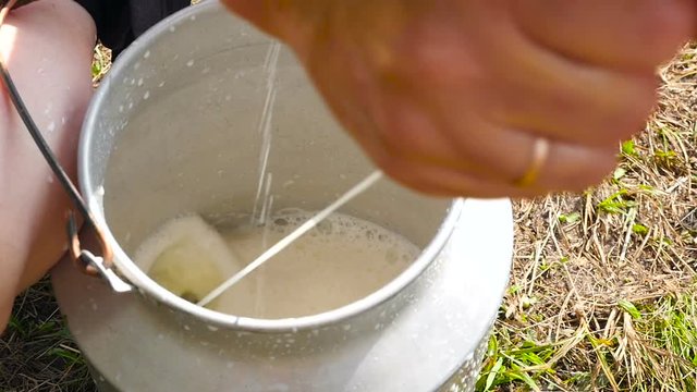 The process of manual milking the milk cow