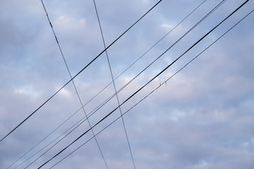 electrical wires on the dawn of the sun