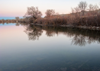Bare Trees Reflected in a Lake