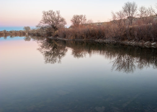 Bare Trees Reflected in a Lake