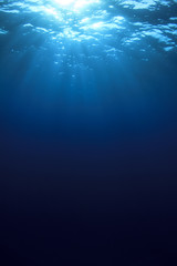 Underwater background in sea