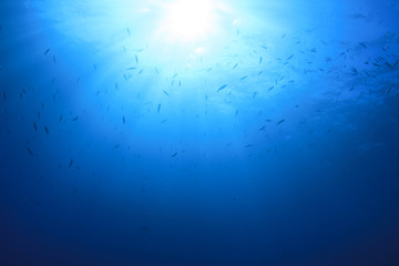 Underwater background in sea