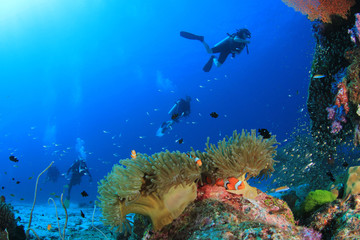 Naklejka na ściany i meble Scuba diving on coral reef underwater