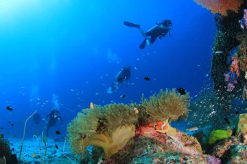Fotobehang Scuba diving on coral reef underwater © Richard Carey