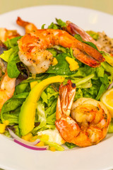 Insalata Di Gamberoni