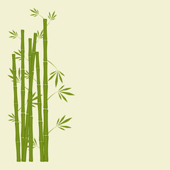 Fototapeta na wymiar bamboo stems with leaves on white background