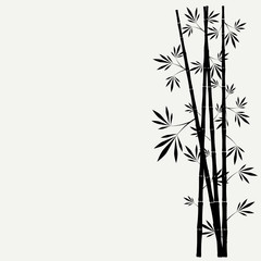 bamboo stems with leaves on white background